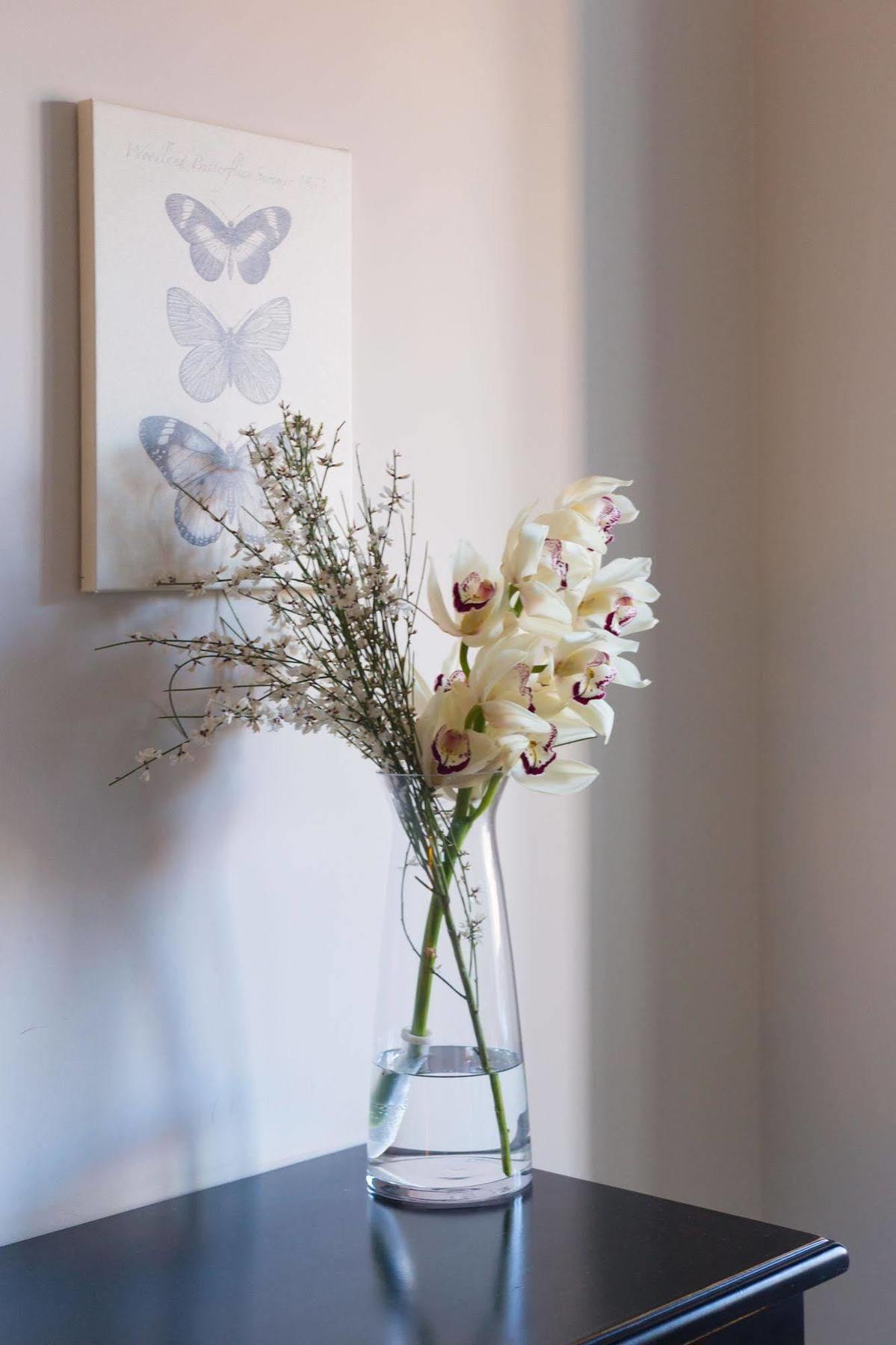 Bed and breakfast Residenza Scipioni Luxury Roma
